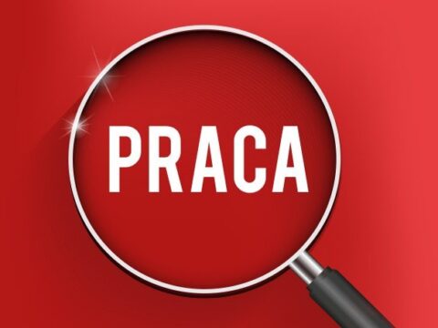 Ogłoszenie o pracę – opiekun wykonujący usługi opiekuńcze